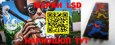 гидра Берёзовский