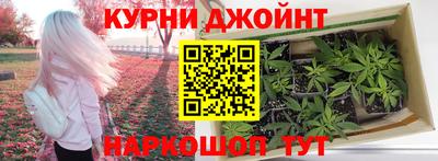 дмт Бийск