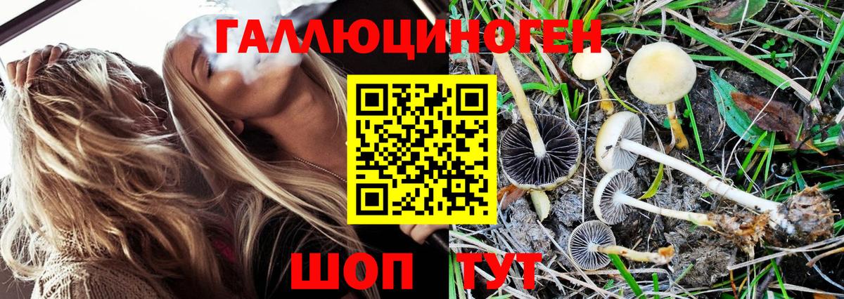 Галлюциногенные грибы мицелий  Вход с VPN  Галлюциногенные грибы Magic Shrooms  Канаш 
