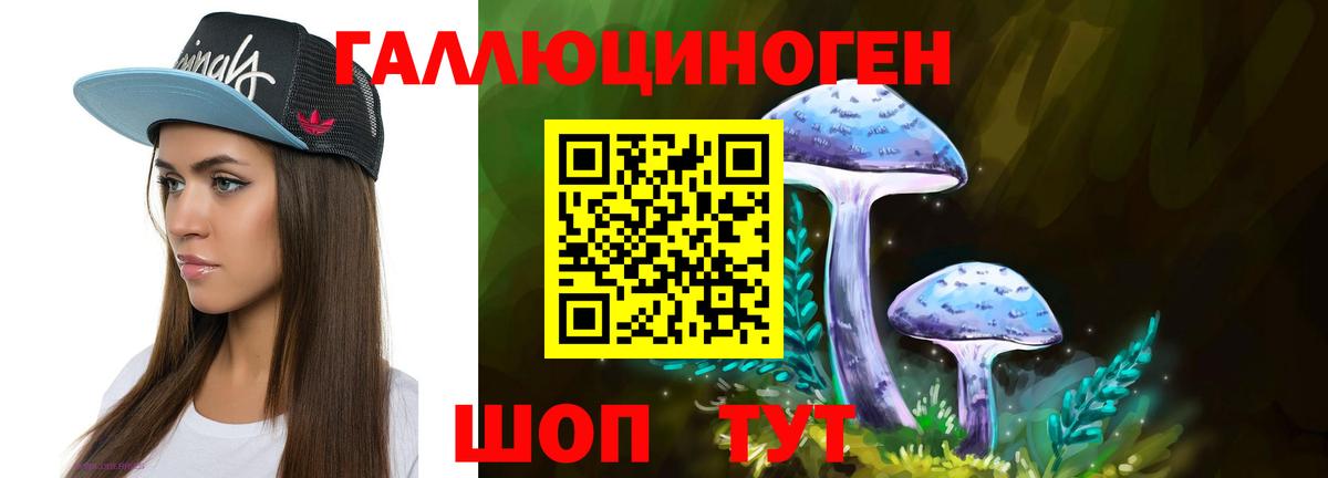 Галлюциногенные грибы мицелий Канаш